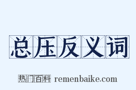 总压反义词是什么意思的图片